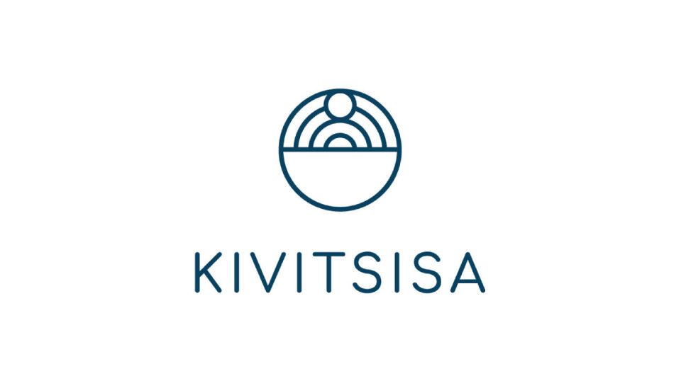 Kivitsisa
